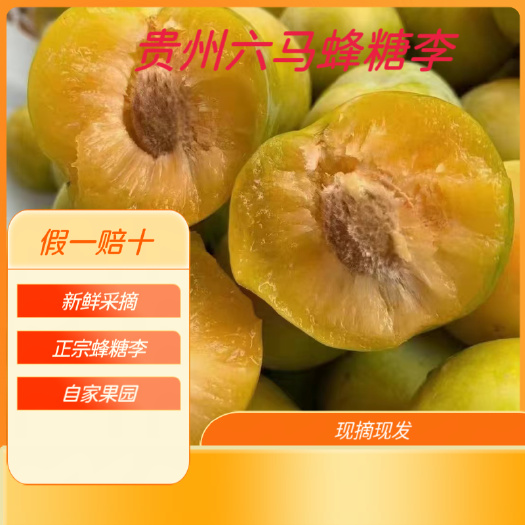 镇宁县贵州蜂糖李 贵州六马蜂糖李 蜂糖李 自家果园 安顺六马蜂糖李