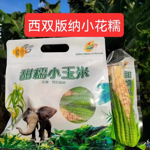 景洪市云南西双版纳糯觅品牌，玉米界中的爱马仕800克小花糯精选袋装