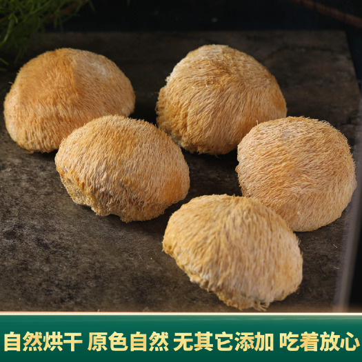 产地直销批发 精选猴头菇干货新鲜菌菇烘干蘑菇猴头菇粉土特产