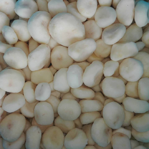 冻马蹄  马蹄丁