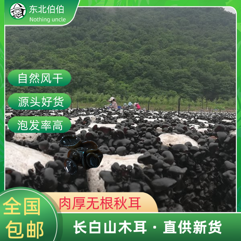 【软嫩】东北黑木耳东北山珍干货秋耳肉厚软嫩无根原货包邮