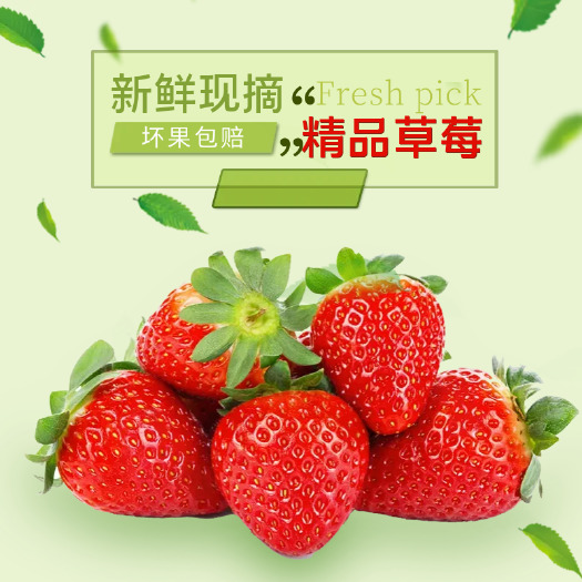 阜阳奶油草莓