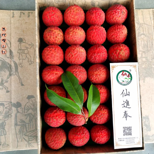 广州增城荔枝仙进奉果场现摘现发顺丰快递当天直发全国