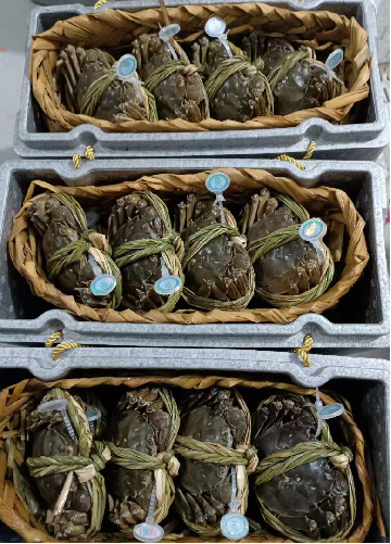 常熟市阳澄湖镇大闸蟹