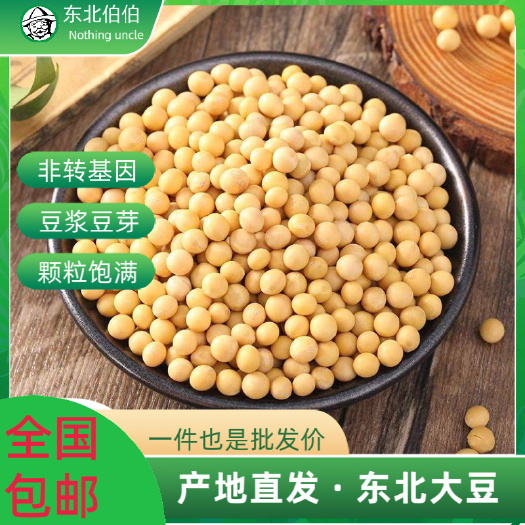 黄大豆  【全国包邮】东北大豆非转基因黄豆豆浆豆非专业芽豆