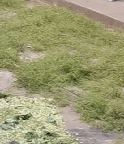稷山县通货毛货