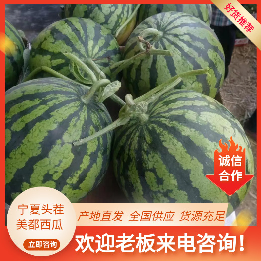 夏邑县万亩头茬美都西瓜 基地直采 产地发货 代收代发 期待长期合作