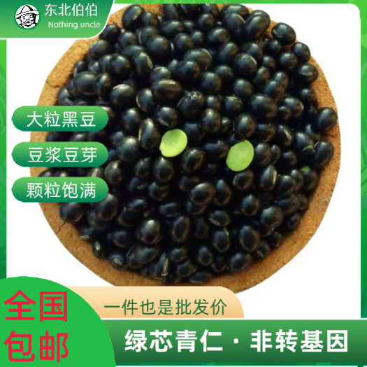 抚顺【23年新豆包邮】东北杂粮绿芯黑豆非转基因黑豆豆浆豆