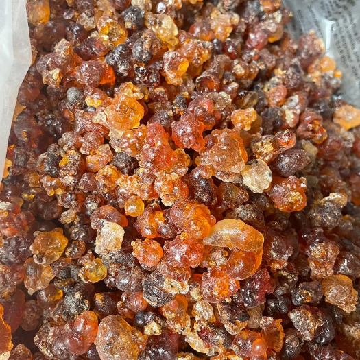 广州自家采摘天然桃胶