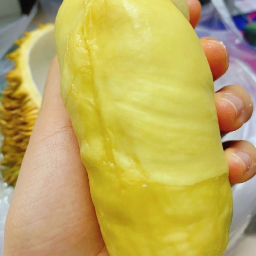 南宁越南金枕A货