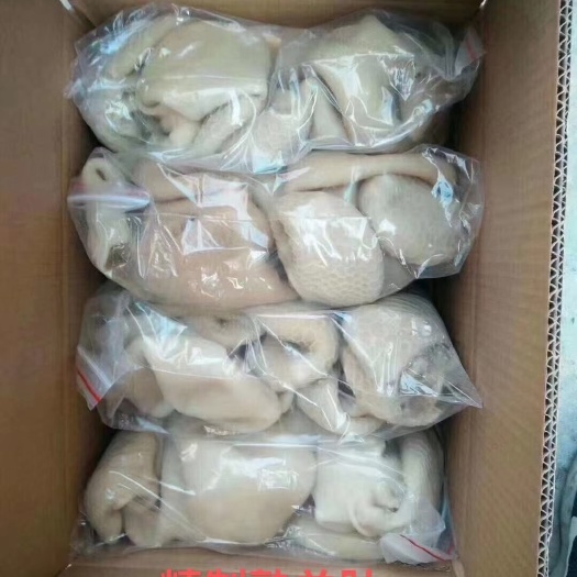 中牟县全熟羊肚
