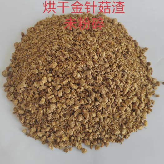 望都县烘干 金针菇渣