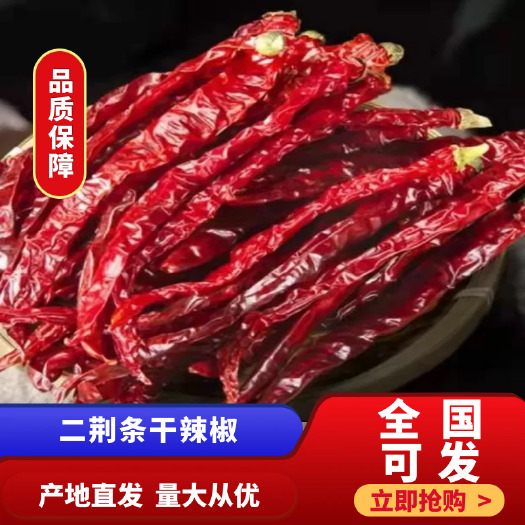 柘城县二荆条干辣椒，超香增香辣味十足，产地直销全国包邮