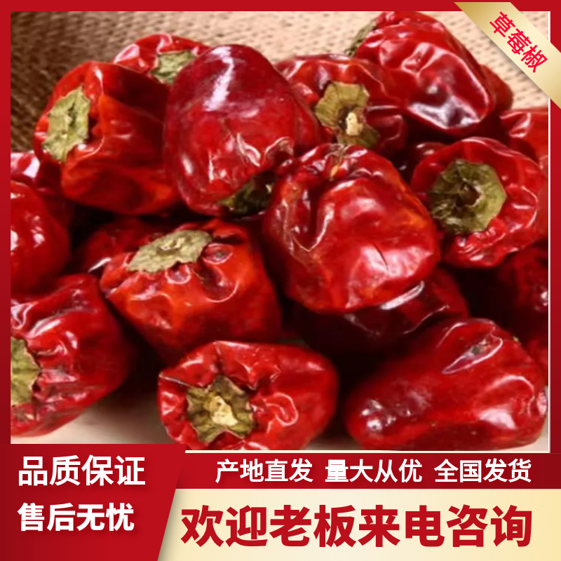 柘城县香辣草莓椒灯笼椒新货支持视频看货，量大从优全国包邮。