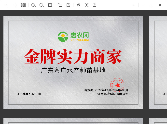 广州场地直销 杂交生鱼苗 量大从优 货到付款