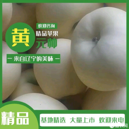 绥中县黄元帅产地直销，没有中间商差价
支持全国发货