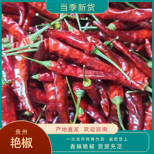 贵州香辣艳椒批发当季新货产地直发