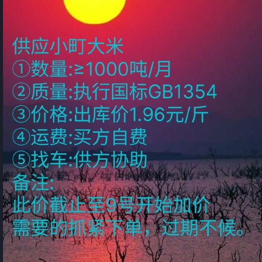 息烽县供应东北珍珠米