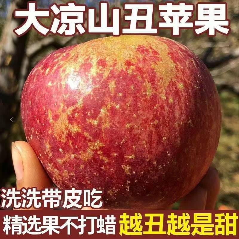 大凉山正宗丑苹果新鲜水果当季现摘四川盐源冰糖心红富士