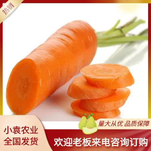 开封精品胡萝卜