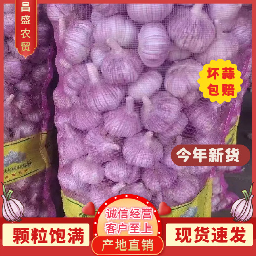 金乡县金乡大蒜品质好，价格低。保证质量，一吨起批，天天有货。