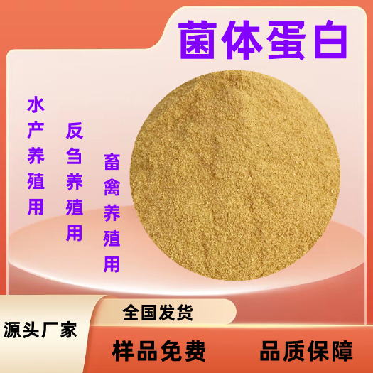 济南菌体蛋白 蛋白饲料 家禽反刍养殖 水产养殖用