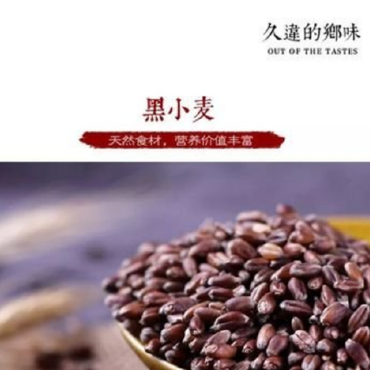 富硒黑小麦，黑小麦全粉，黑小麦米，批发