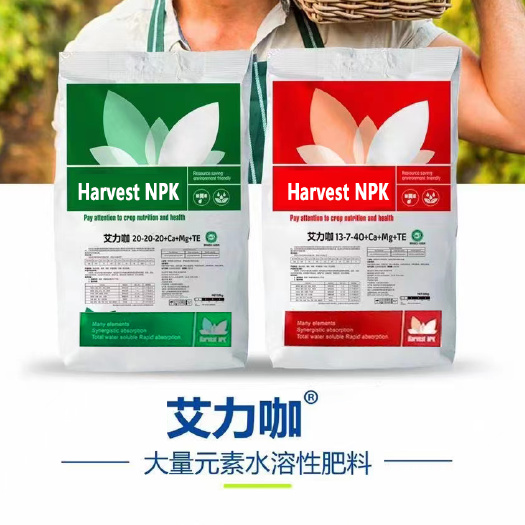 壽光市大量元素水溶肥料 20-20-20+鈣+鎂平衡水溶肥全營養(yǎng)提