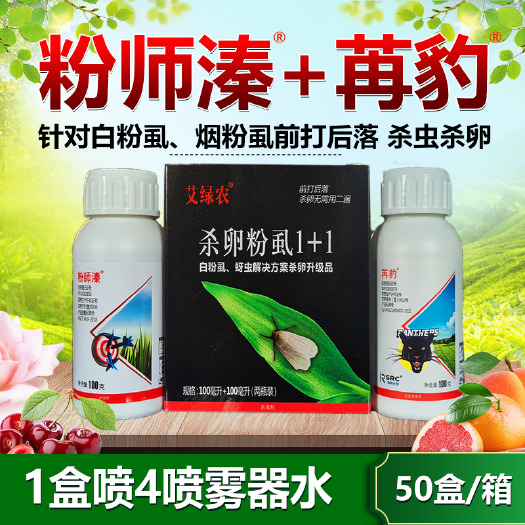 杀卵粉虱1+1 白飞虱烟粉虱灰飞虱专用药 杀虫杀卵一遍全打净