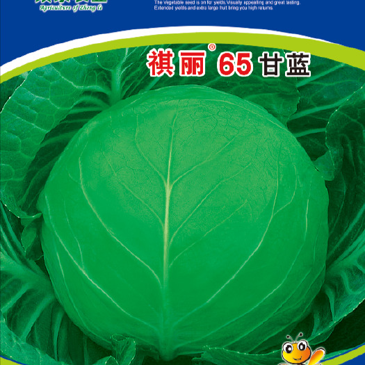 昆明圆包菜种子越冬甘蓝种子耐寒耐运输1.5公斤左右2000粒装