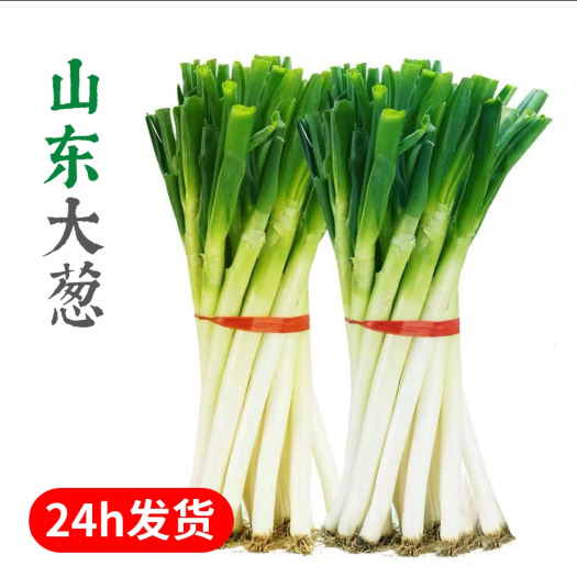 莒南县铁杆大葱