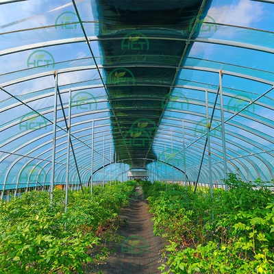 种植温室大棚蔬菜暖棚钢管骨架养殖保温支持定制