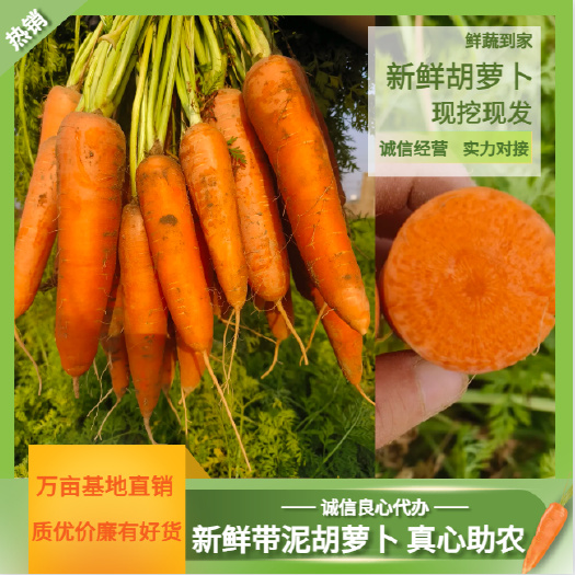开封专业打包团队保证质量 支持一件代发