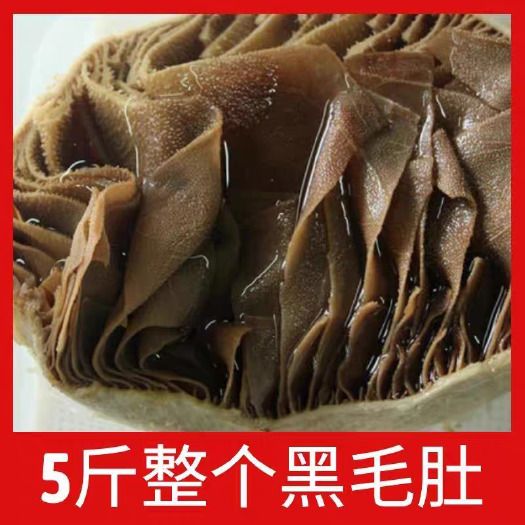 新鲜整个毛肚5斤包邮商用带底板大叶片爽脆牛百叶千层肚火锅食材