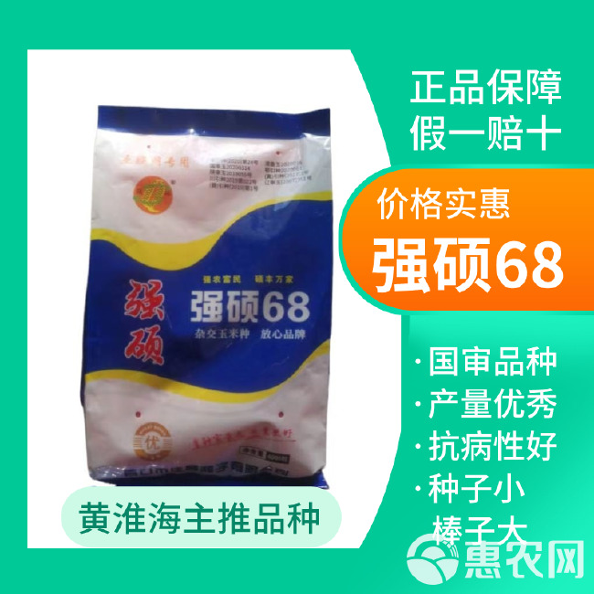 强硕68玉米种≈4000粒包装原包原审公司正品