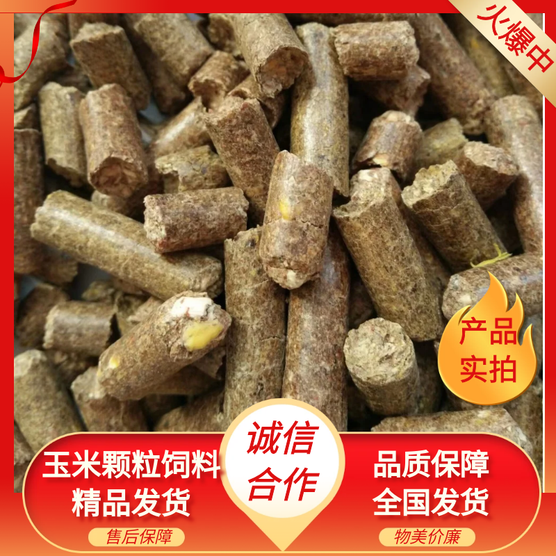 赵县玉米颗粒饲料、蛋白高、营养全、适口性好！