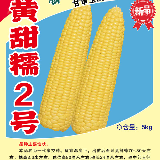 甜糯玉米种子(10斤/袋)免耕机3亩用量