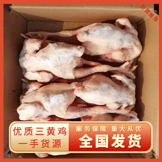 新鲜冷冻一级三黄鸡土鸡白条鸡童子鸡9.5公斤7-15只箱装
