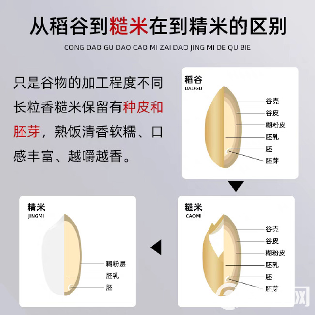 2023东北新长粒糙米散装称重糙米饭五谷杂粗粮