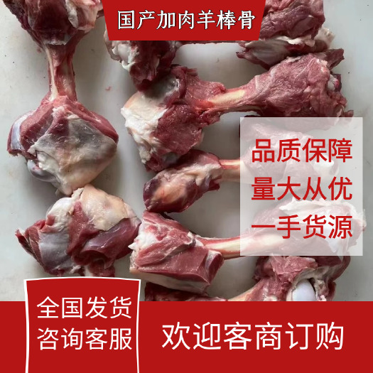 清真 羊骨 清真羊棒骨 加肉羊棒骨 国产羔羊棒骨