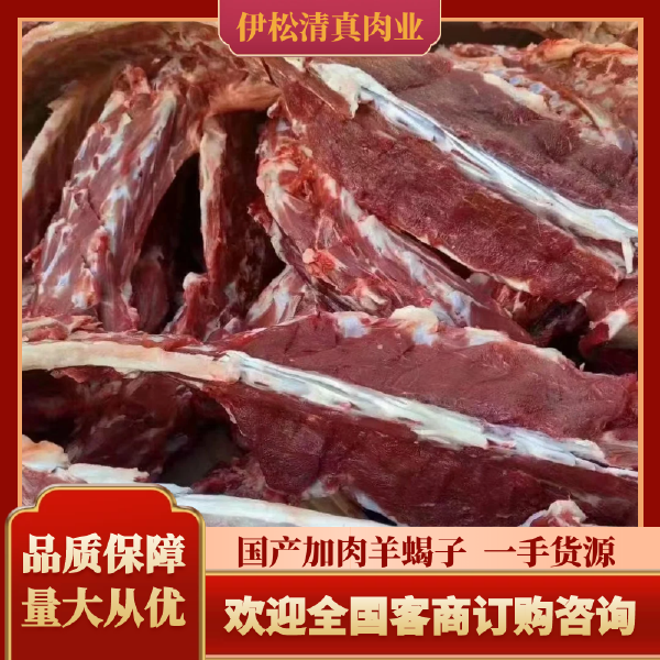 清真羊蝎子 羔羊加肉羊蝎子 加肉羊脊骨 火锅食材 纯干货