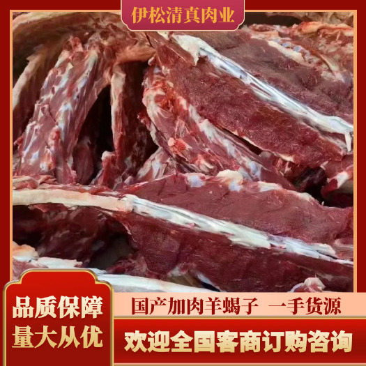 清真羊蝎子 羔羊加肉羊蝎子 加肉羊脊骨 火锅食材 纯干货