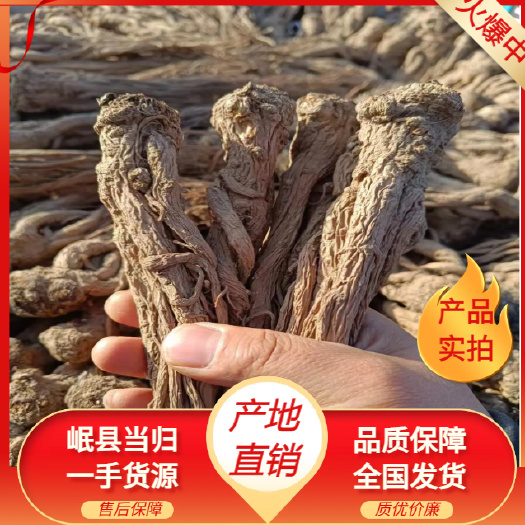 中国当归之乡岷当归 甘肃岷县 原色原味无硫当归条产地源头直发