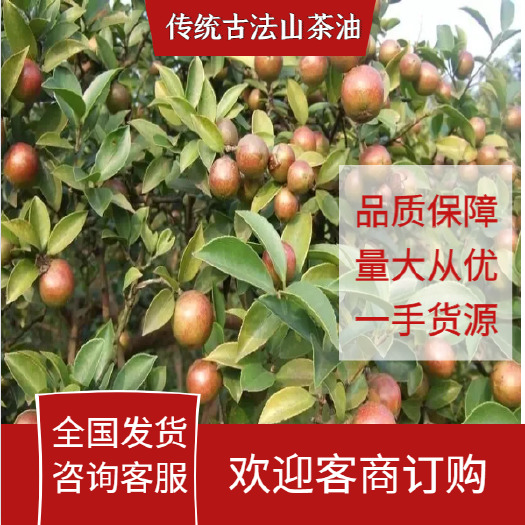 攸县传统古法山茶油