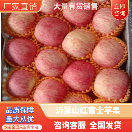 蒙阴县沂蒙山红富士苹果大量有货销售，口感脆甜，价格便宜，条红，片红