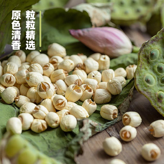 亳州莲子药食同源 去芯莲子 机磨 手工 规格齐全 批发零售