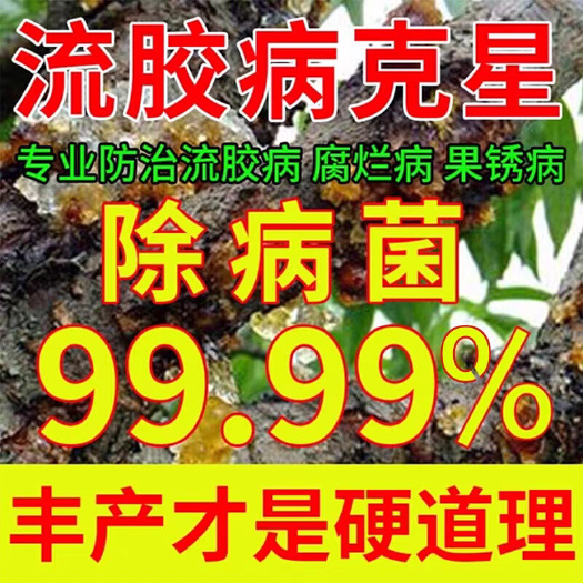 国光辛菌胺醋酸盐农药樱桃杏树果树溃疡病桃树流胶病专用药杀菌剂