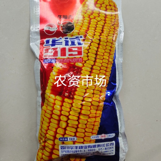 华容县华试919玉米  籽粒黄色 马齿型 适应性广 产量高1KG