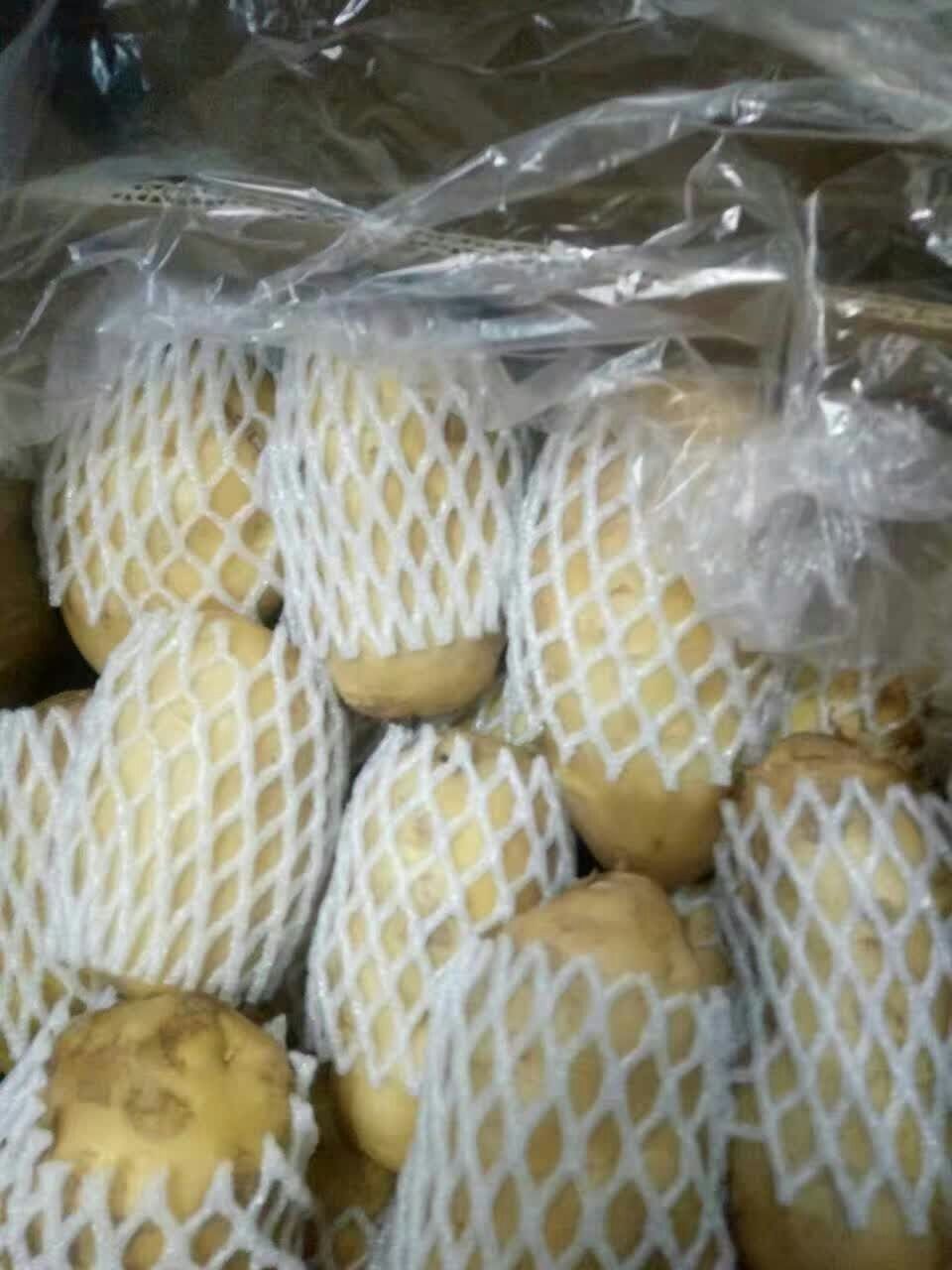 荷兰15  荷兰土豆 无青头 无芽头 全国发货