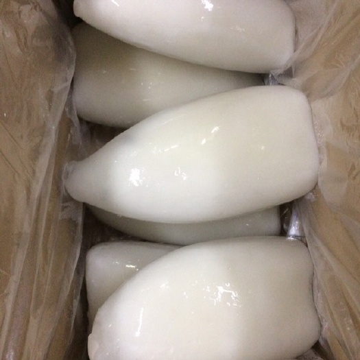 广州 三去墨鱼筒
